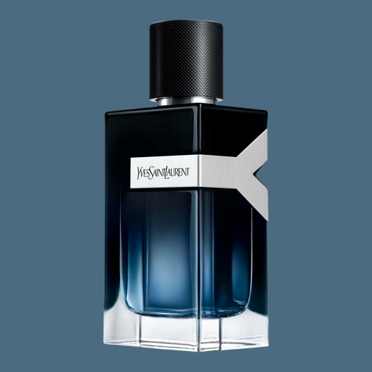 YSL Y Intense
